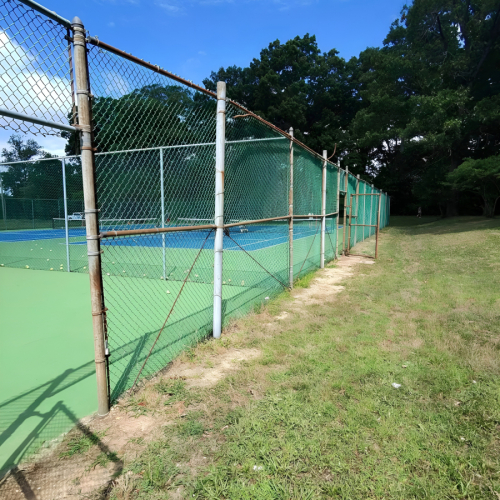 488009551_1085212700292287_49845450284047176_n