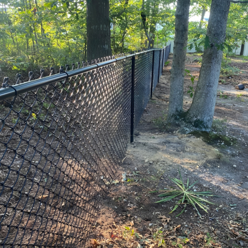 489234025_1087135810099976_8741746907035894722_n