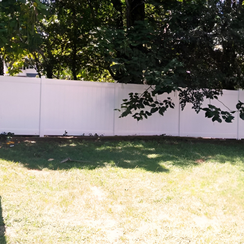 11949418_1039508276074018_7289382879926657440_n