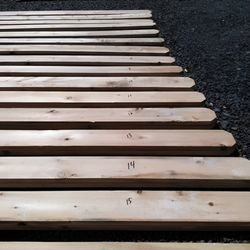 465058894_8932003173491116_5788785647746197956_n