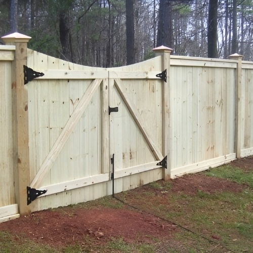 487511638_1084176620395895_3643998420056475264_n