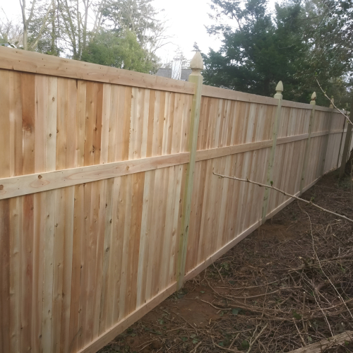 93376263_3132500480108110_3645468816646864896_n